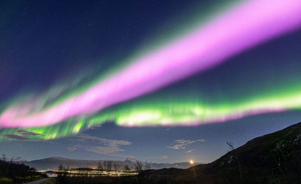 I løpet av over ti år som nordlysguide basert i Tromsø har Markus Varik aldri sett noe lignende som den dagen i november 2022, da nordlyset viste seg i en sjelden intens rosa farge.