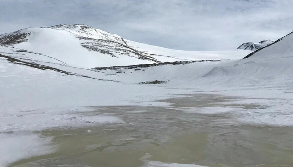 Forskere ble overrasket over denne lille innsjøen.