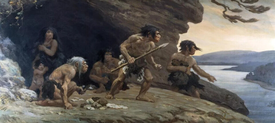 Homo sapiens hadde sex med neandertalere i 7.000 år: «Det er pinadø lenge»