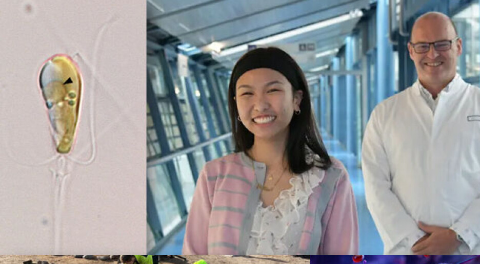 Hvilke oppdagelser kommer vi til å huske fra 2024?