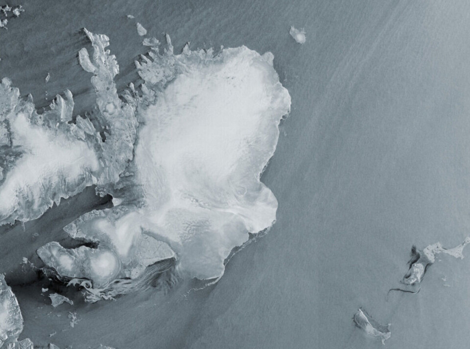 Det første bildet fra den nye europeiske radarsatellitten Sentinel-1C viste bl. a. den store isbreen Austfonna på Nordaustlandet, Svalbard.