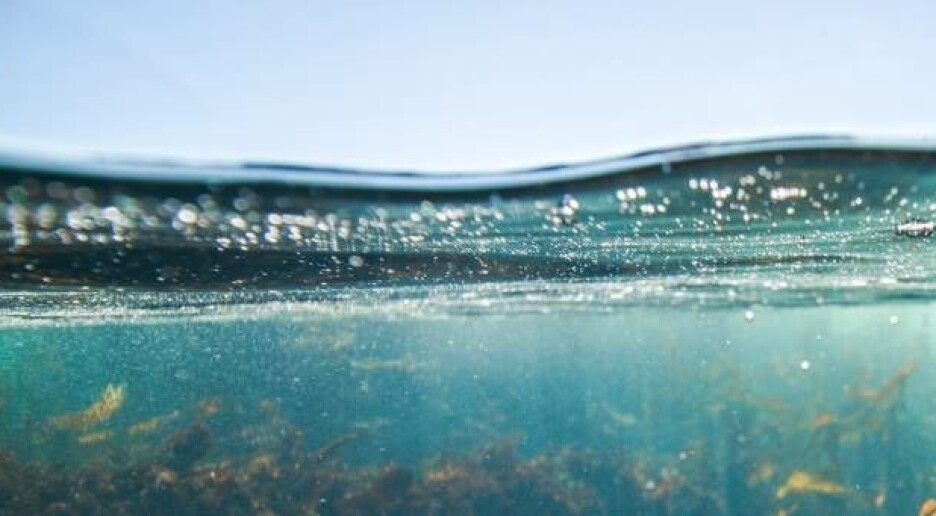 Havet bidro sterkt til varmerekorden i 2024