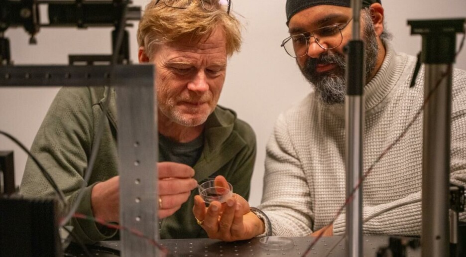 Kan knøttsmå databrikker hindre at oppdrettsfisk får sår?