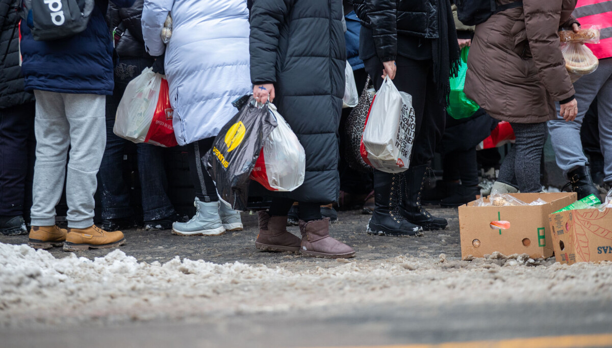 Ny dyrtidsrapport: – Det har ikke blitt bedre