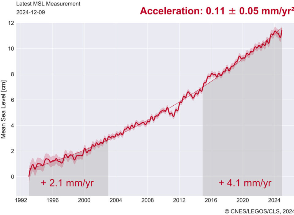 Havnivå-kurven fra satellittene klatret raskt oppover igjen senhøstes 2024.