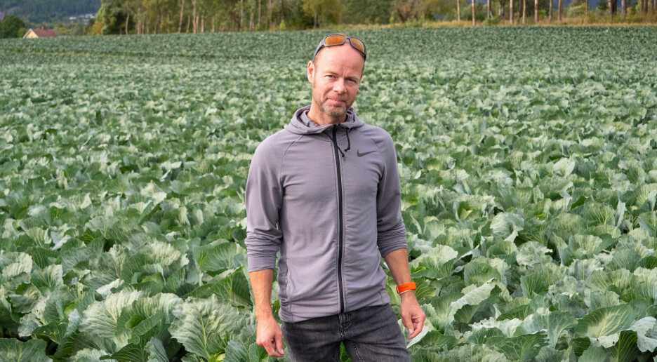 – Under optimale forhold kan vi bli nesten 100 prosent selvforsynt i 2080