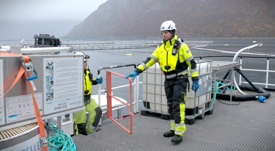 Kulde kan påvirke de indre klokkene i kroppens celler