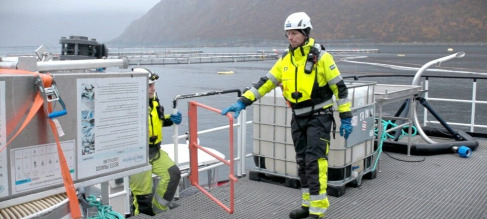 Kulde kan påvirke de indre klokkene i kroppens celler