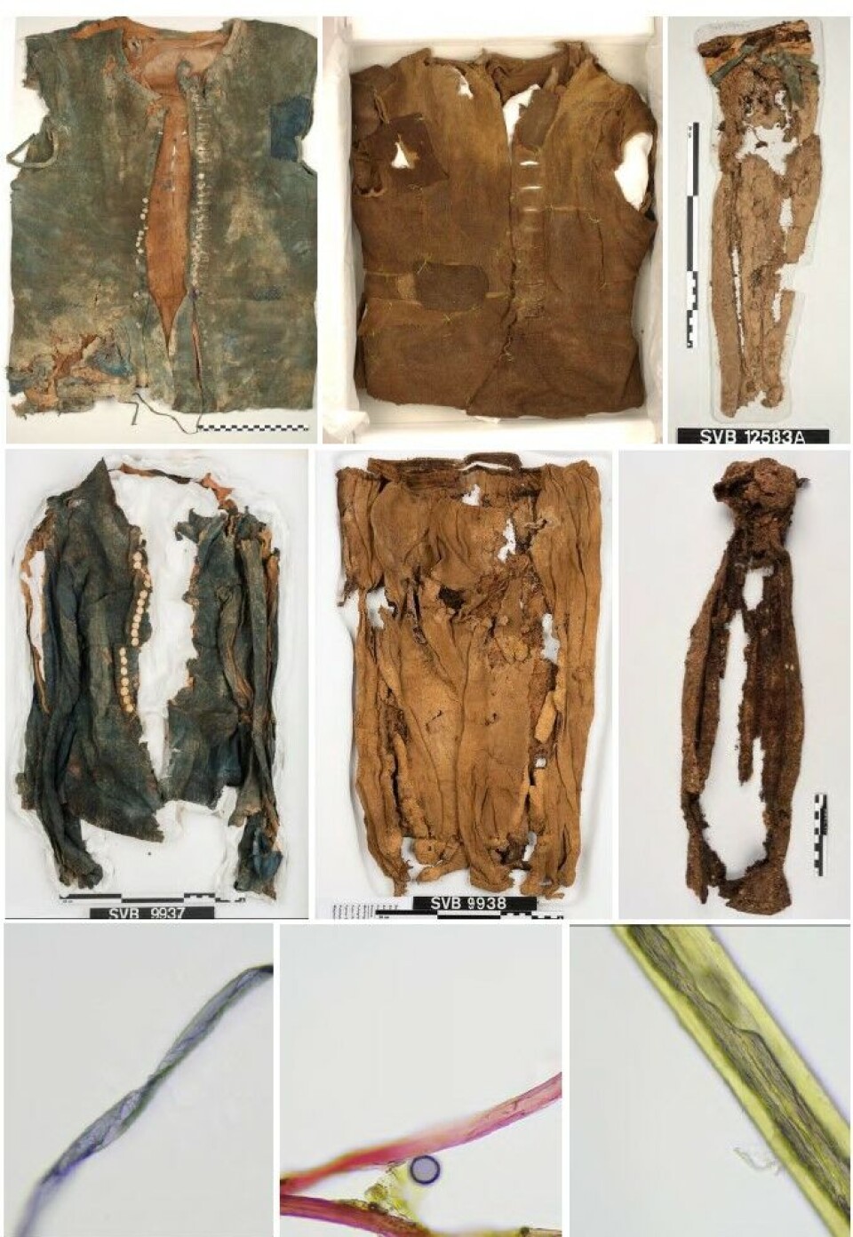 Nedbrytningen på tekstiler. Pågående tekstilanalyser fra Likneset viser at funnene fra 1980-tallet (øverst) fremstår betydelig bedre bevart sammenlignet med tekstiler fra 2016 og 2019 (midten). Mikroskopiske undersøkelser av fiber dokumenterer fibertyper og grad av nedbrytning (nederst).