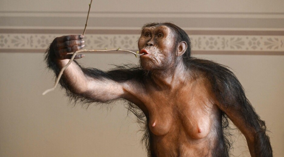 Tidlige mennesker var vegetarianere