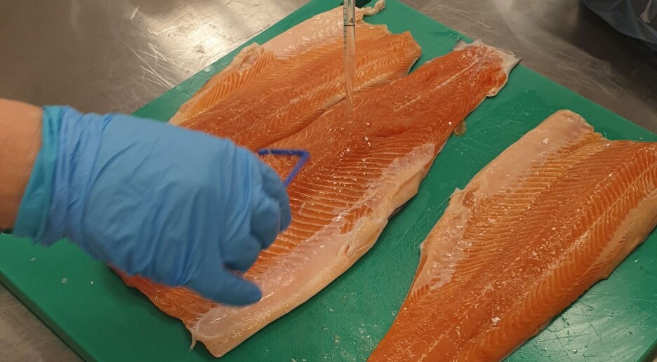 Slik kan man unngå matforgiftning fra rakfisk