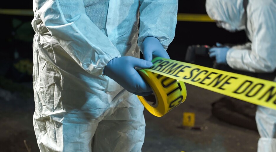 Hvorfor er det færre drap i demokratier?