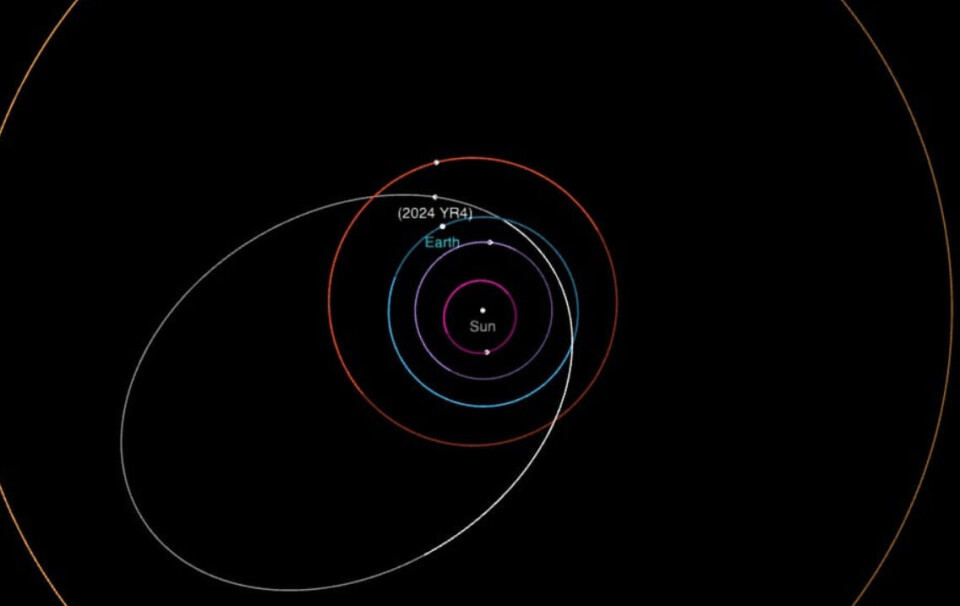 Asteroiden 2024 YR4 har en elliptisk bane som krysser banene til Jorda og Mars. (Bilde: NASA JPL).
