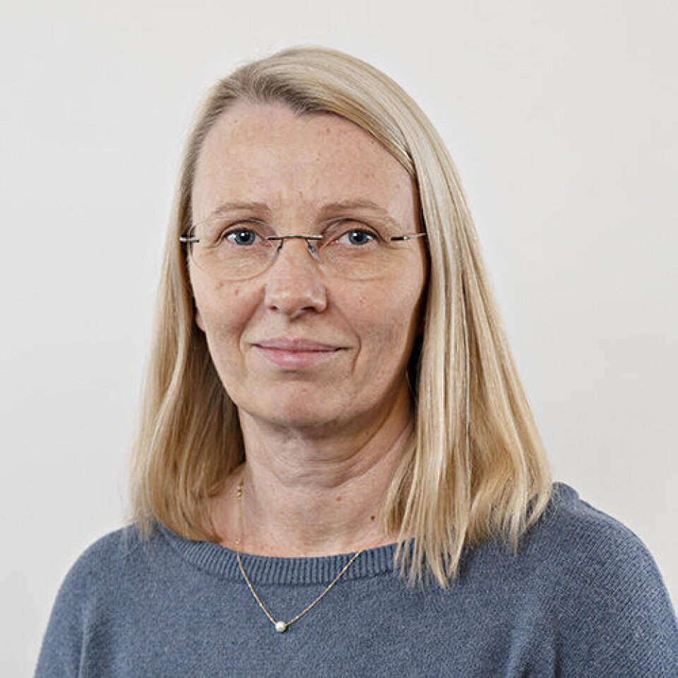 Bakterier i fisk tåler bedre kjøleskapstemperatur, forteller seniorforsker Solveig Langsrud i Nofima.