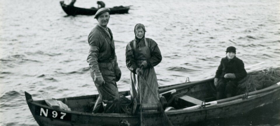 Blir det skrei i Ålesund i år?