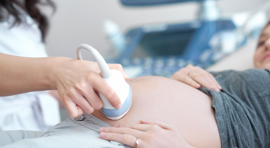 En ny superultralyd skal se både barnet og morkaken i samme undersøkelse