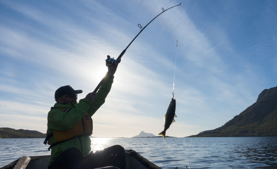 Forskere frykter at mer fisk blir kastet hvis turister får strengere regler