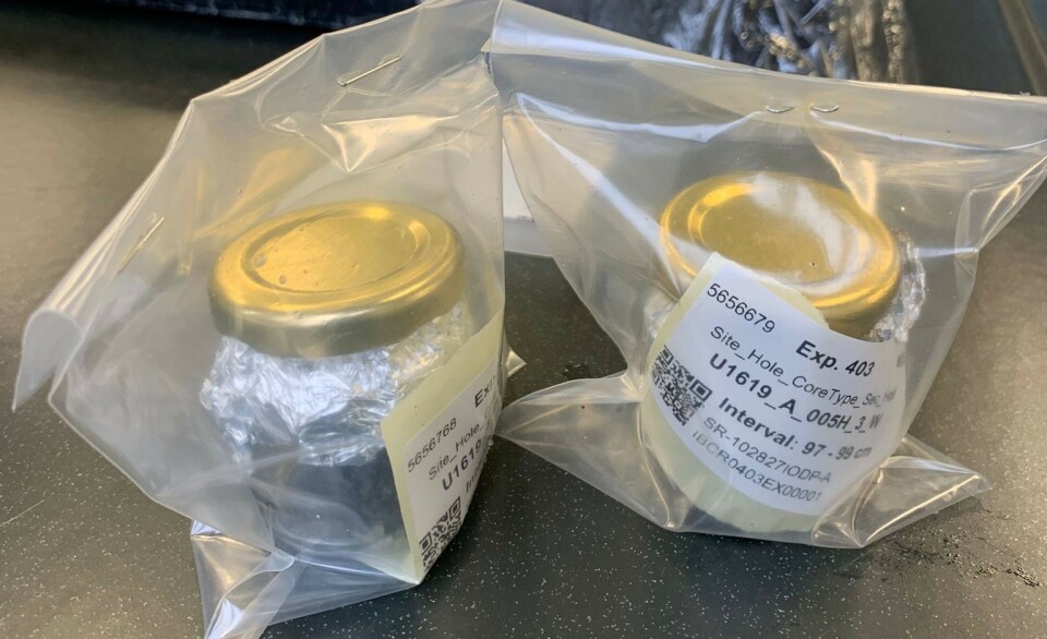 To biomarkør-prøver som vil bli analysert i i2B «Into the Blue»-prosjektet for å undersøke om det var havis i Framstredet i tidligere perioder. (Foto Stijn De Schepper)