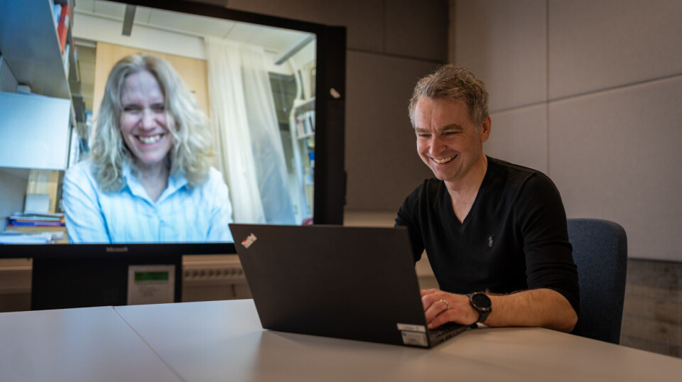 Den damen du ser på skjermen her er et eksempel på en professor II. Anne Krook på Karolinska Institutet i Stockholm er professor II på Universitetet i Innlandet, og møter ofte professor Stian Ellefsen på Universitetet i Innlandet digitalt.