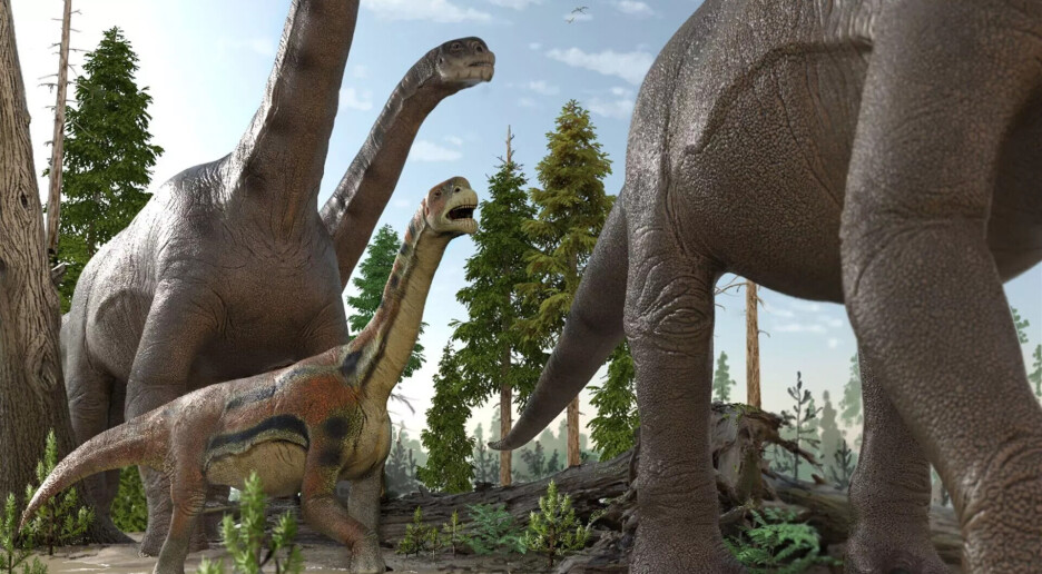 Da dinosaurene ble utryddet, vokste fruktene seg større – pattedyrene fikk dem til å krympe igjen