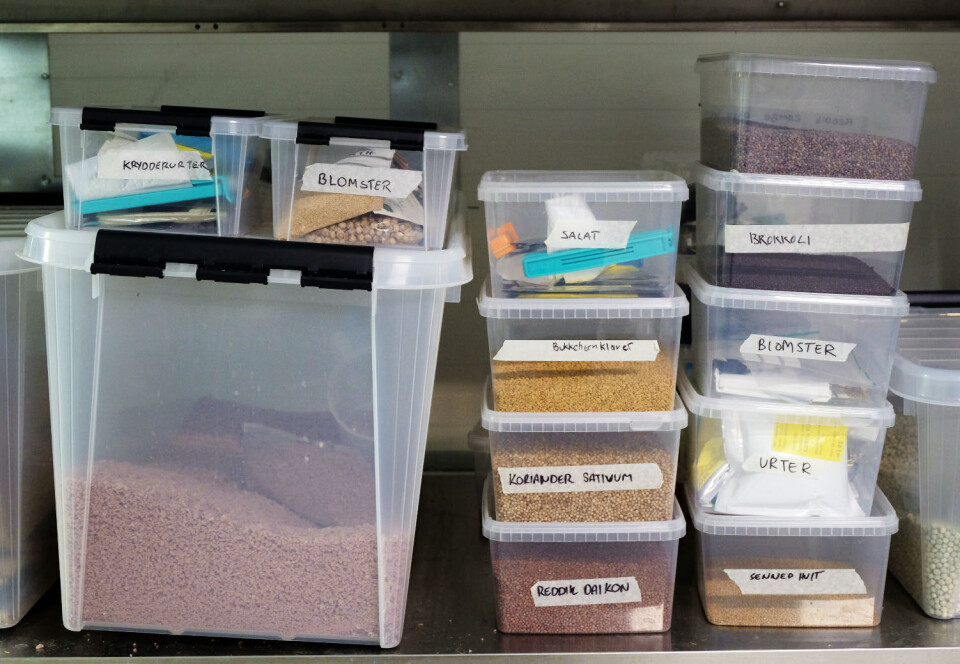 Gartnerne prøver seg på ulike vekster.