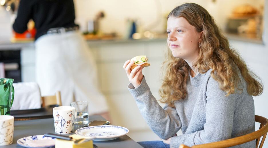 Rapport: Ikke bevis for at omdiskuterte tilsetningsstoffer skader mage og tarm