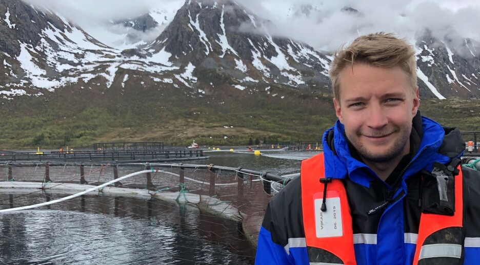 Kan lys og fôr styre laksens kjønnsmodning?