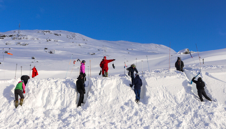 Kanskje skal du bytte ut snøhule med kantgrop neste gang du tar med elever, studenter, speideren eller barna på vinterfjellet? Studenter som lager kantgrop på fjellet.