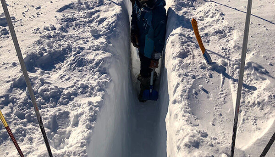 Grav så dypt at du får kanten i halshøyde.