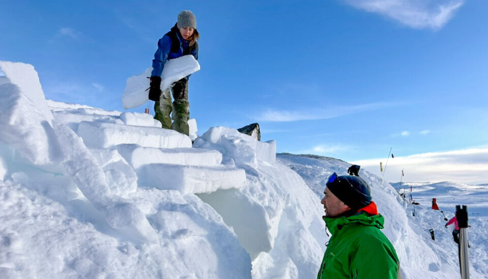 Gjør du jobben riktig kan du gå på 'taket'. Foto: Jannicke Høyem. Person som legger blokker på tak