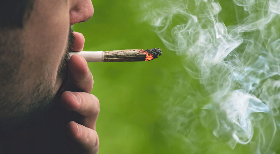 – Styrker mistanken vår om at cannabis kan øke risikoen for hjerteinfarkt
