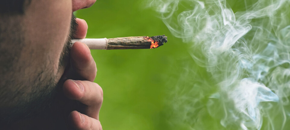 – Styrker mistanken vår om at cannabis kan øke risikoen for hjerteinfarkt