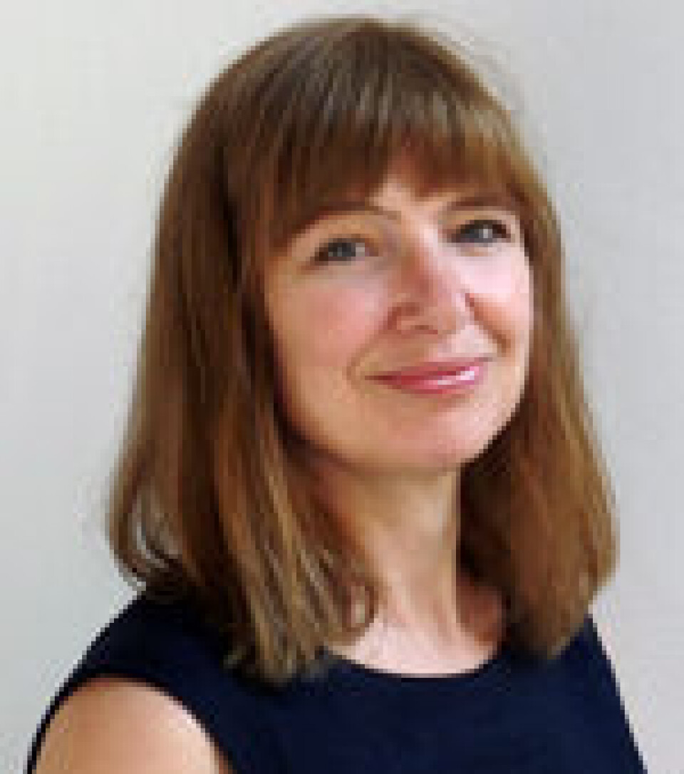 Helene Oppen Ingebrigtsen Gundhus forsker på kriminalitet på Universitetet i Oslo.