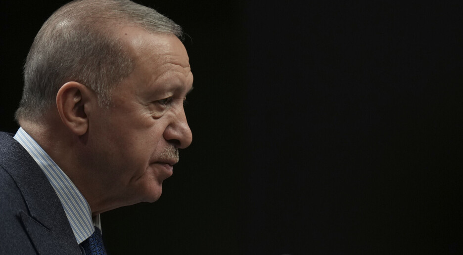 Eksperter: Erdogan vil rydde farlig utfordrer av veien