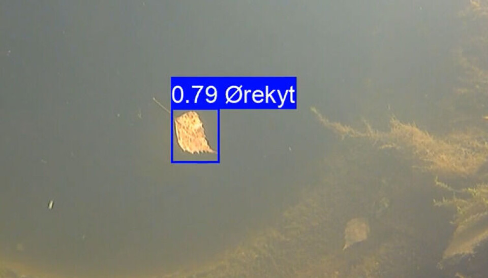 Noen ganger blir det feil...