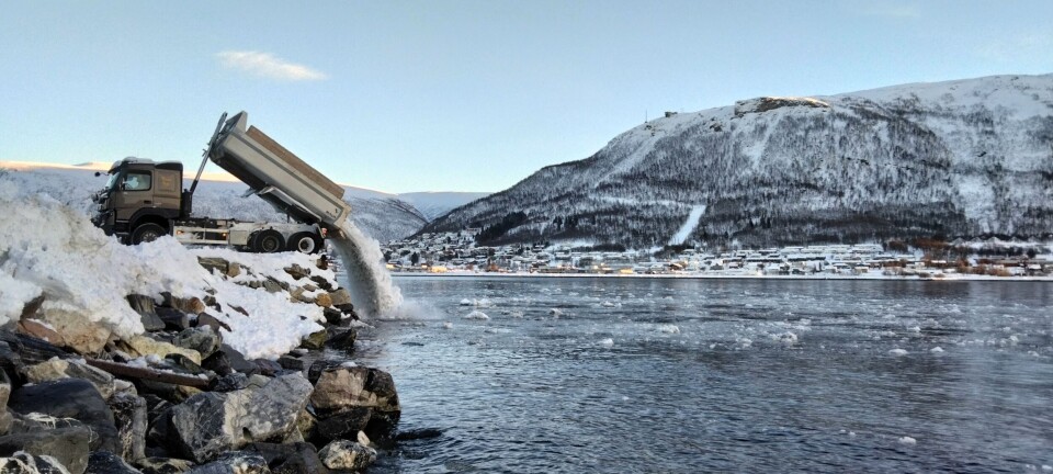 Dette fant forskerne i snøen som dumpes på havet
