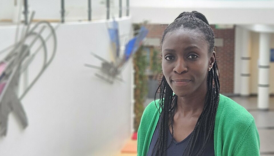Pamela Ogada kommer selv fra Kenya og har bodd ni år i Norge. Ogadas funn tyder på at det å ha tilgang til mat og andre produkter fra eget hjemland, fremmer en følelse av tilhørighet i en ny kultur. Portrett forsker