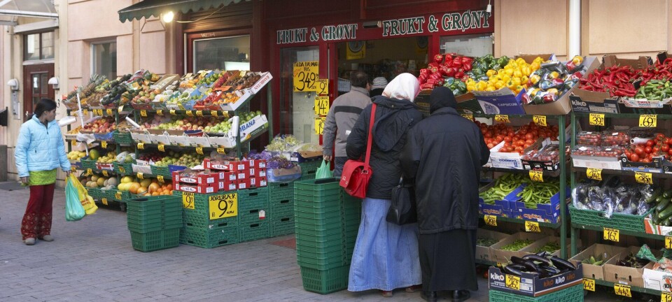 Butikker drevet av innvandrere tilbyr ikke bare etnisk mat