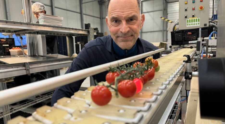 Disse sensorene vet hvor søte tomatene er