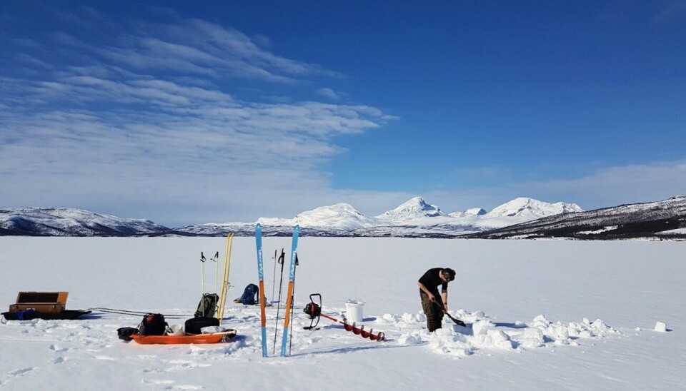 Snø isolerer godt og kan bidra til at isen holder lengre utover våren, men snø som smelter kan også gi overvann og utfordrende føre når temperaturen skifter rundt null grader. Oppskriften på tykk og god is er kulde og lite snø når isen legger seg, da dannes en tykk stålis. På Takvatnet i Troms i andre halvdel av april 2018 var det ikke bare trygg is men sol og fantastiske feltforhold. Forsker i aksjon ute på isen. Foto.