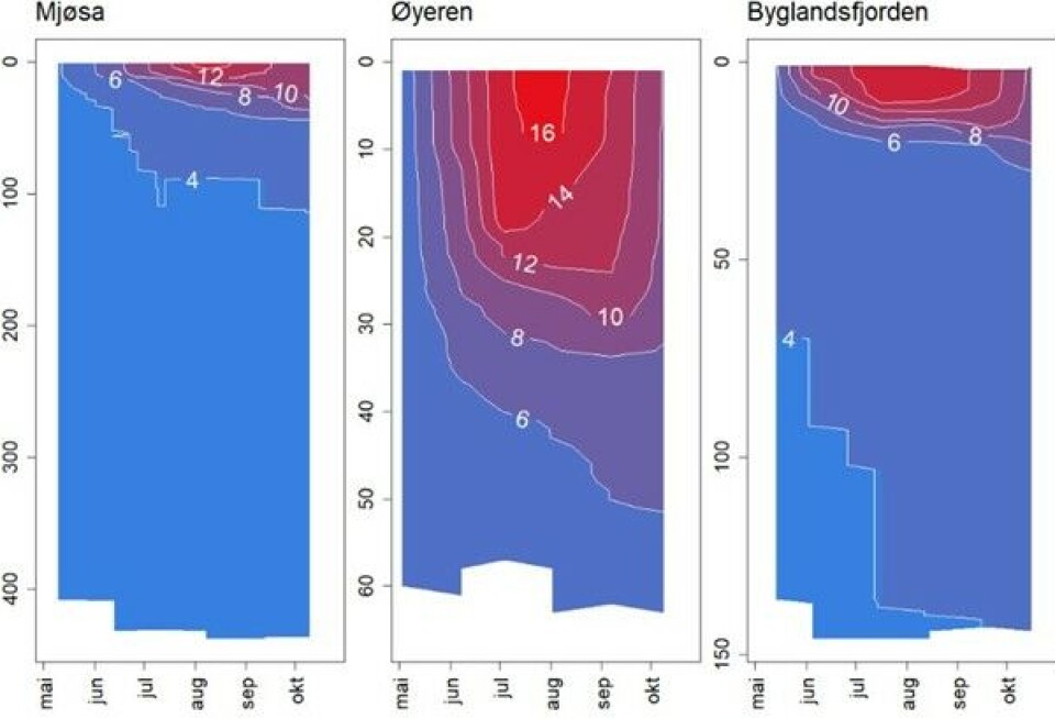 Ved å kombinere data samlet inn månedlig med multimetersonde kan vi lage figurer som viser utviklingen til de ulike parameterne gjennom et år. I figuren har vi kombinert målinger av temperatur i vannsøylen gjennom vekstsesongen i tre ulike innsjøer i ØKOSTOR-programmet. Figurer.