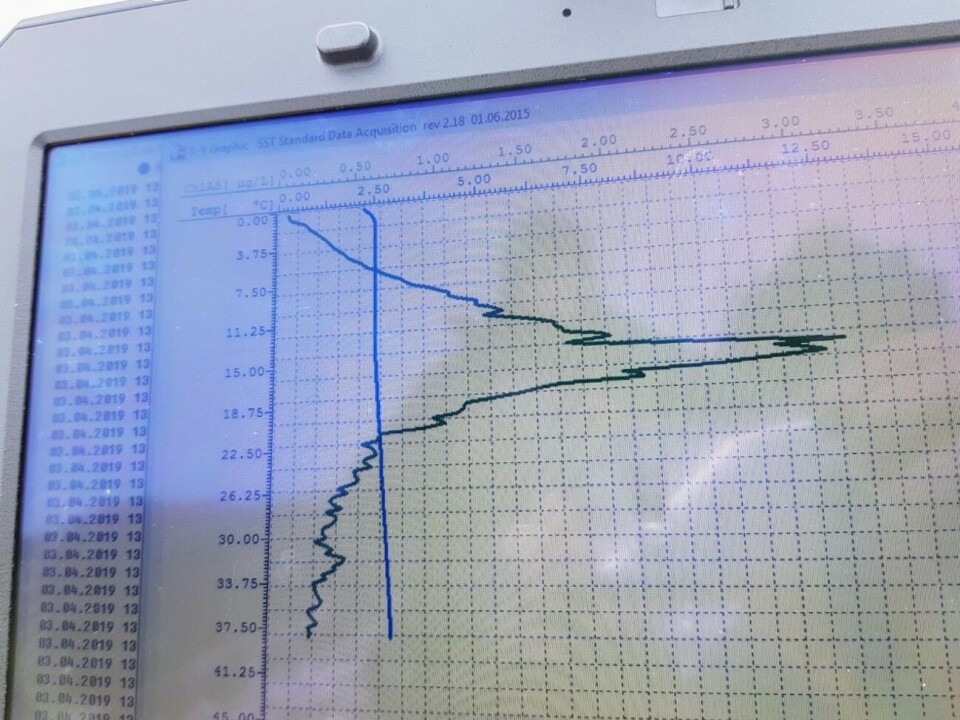 Klorofyllmaksimum ved 15 meters dyp på Gjende 3. april 2019 vist som sort kurve. Den blå, nært vertikale, kurven er temperaturen på vannet. Skjerm som viser graf. Foto.
