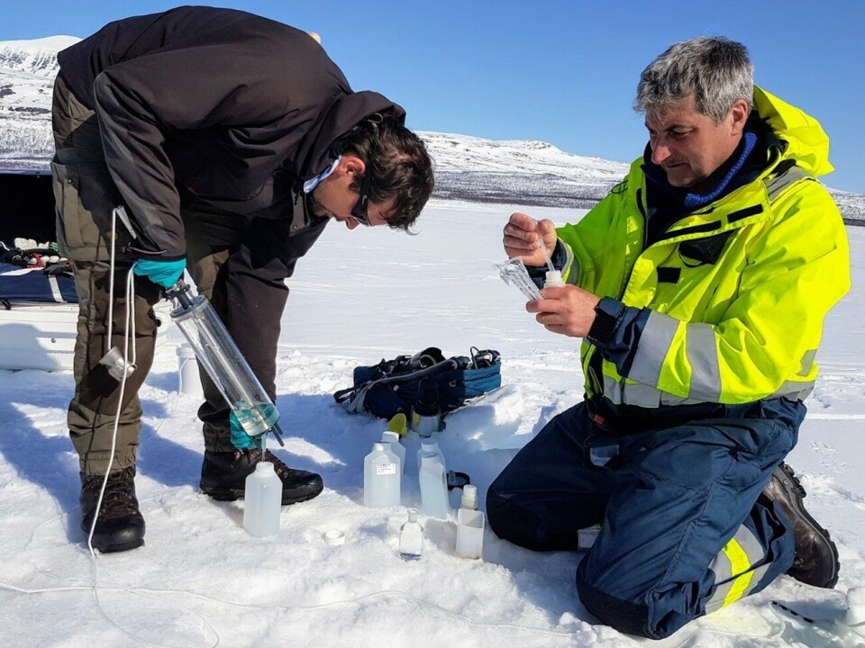 Vann hentet fra 100 meter helles over i prøveflasker på Altevatnet i Troms i april 2018. Forskere som tar prøver på isen.