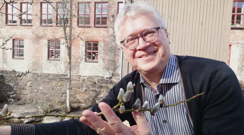 Denne veksten var viktig i fortidens påske