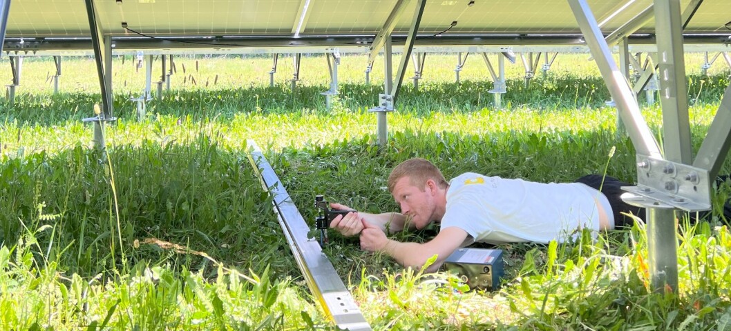 Solceller på bakken kan gi mye strøm, men hva gjør det med naturen?