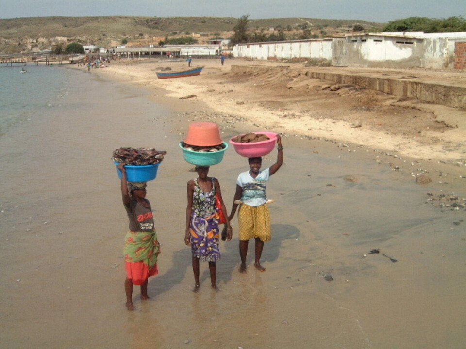 Matsikkerhet i mange afrikanske land avhenger av tilgjengeligheten av fisk.