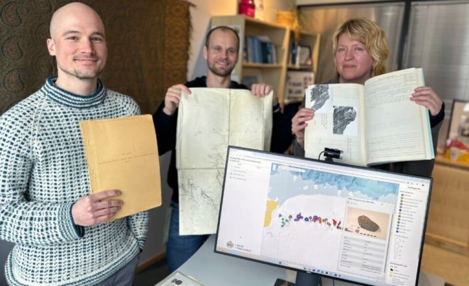 Datautvikler David Studer (t.v.), geolog Øyvind Sunde og datautvikler Siri Uldal viser frem noe av det gamle geologiske materialet som nå er i et nytt digitalt arkiv.