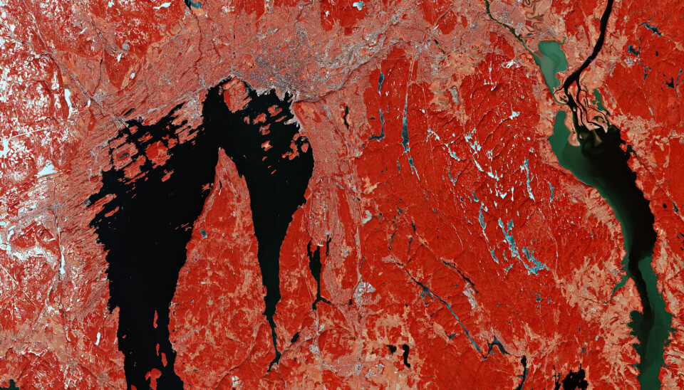 Slik ser Oslo ut fra satellitt. De røde feltene er skog. Satellittbilde av Oslo.