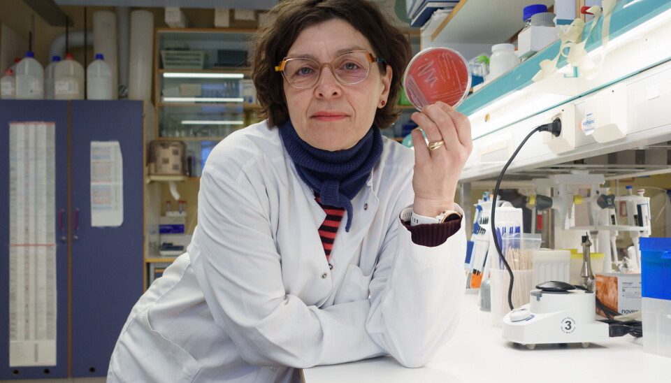 Jorunn Pauline Cavanagh led the work on bacetiral analyses.