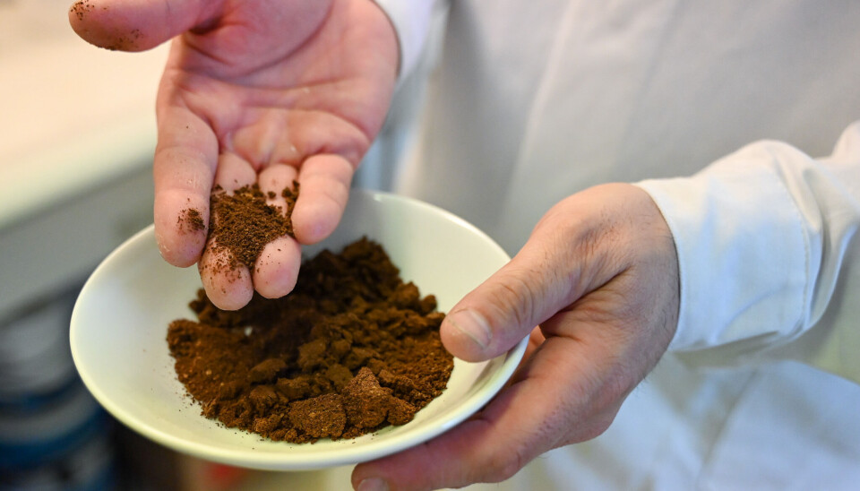 How many times can we use coffee grounds before they end up in the trash or compost? Kaffegrut